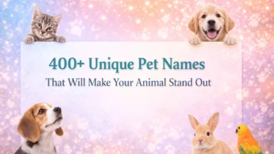 400+ Unique Pet Names That Will Make Your Animal Stand Out