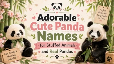 Adorable Cute Panda Names for Stuffed Animals and Real Pandas