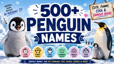 500+ Penguin Names Cute, Funny, Cool & Famous Ideas