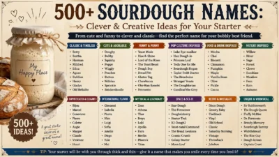 500+ Sourdough Names Clever & Creative Ideas for Your Starter