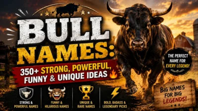Bull Names 350+Strong, Powerful, Funny & Unique Ideas 🐂🔥