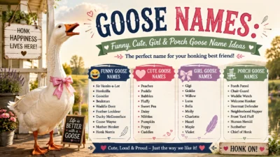 Goose Names Funny, Cute, Girl & Porch Goose Name Ideas